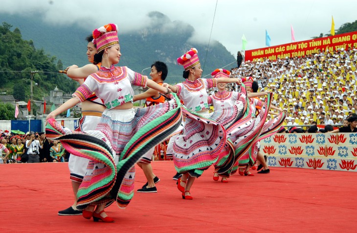 Aktivitäten zum Jahrestag der Kultur der verschiedenen vietnamesischen Völker - ảnh 1